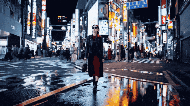 四库全闻报导